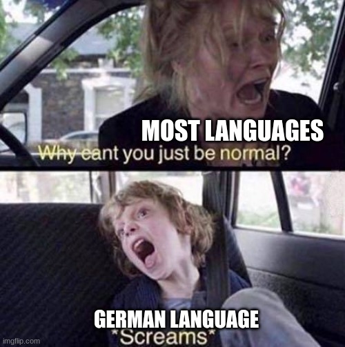 I'm Sorry Germans | MOST LANGUAGES; GERMAN LANGUAGE | image tagged in why can't you just be normal | made w/ Imgflip meme maker