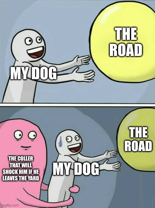 Running Away Balloon Meme | THE ROAD; MY DOG; THE ROAD; THE COLLER THAT WILL SHOCK HIM IF HE LEAVES THE YARD; MY DOG | image tagged in memes,running away balloon | made w/ Imgflip meme maker