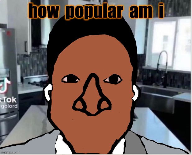 n | how  popular  am  i | image tagged in n | made w/ Imgflip meme maker