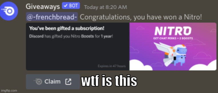 what is this some sort of scam | wtf is this | image tagged in memes,funny,discord,please tell me,nitro,what | made w/ Imgflip meme maker