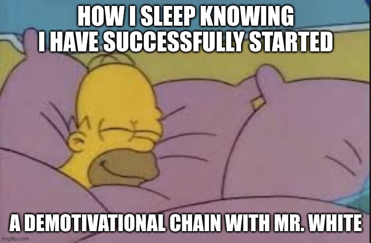 how i sleep homer simpson | HOW I SLEEP KNOWING I HAVE SUCCESSFULLY STARTED; A DEMOTIVATIONAL CHAIN WITH MR. WHITE | image tagged in how i sleep homer simpson | made w/ Imgflip meme maker