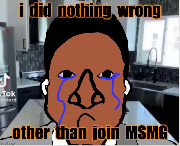 n | i  did  nothing  wrong; other  than  join  MSMG | image tagged in n | made w/ Imgflip meme maker