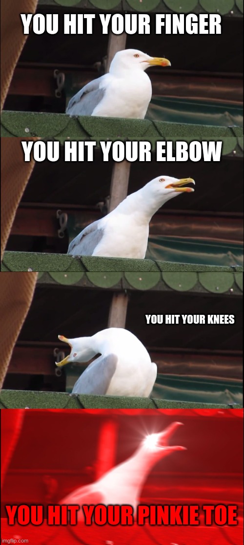 seagull | YOU HIT YOUR FINGER; YOU HIT YOUR ELBOW; YOU HIT YOUR KNEES; YOU HIT YOUR PINKIE TOE | image tagged in memes,inhaling seagull | made w/ Imgflip meme maker