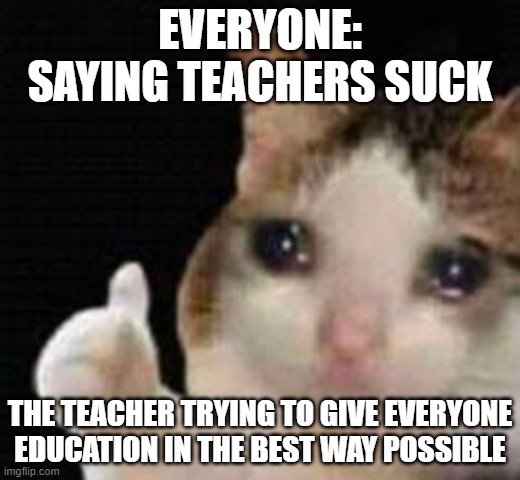 btw i am not a teacher pet i just had no idea for a meme | EVERYONE: SAYING TEACHERS SUCK; THE TEACHER TRYING TO GIVE EVERYONE EDUCATION IN THE BEST WAY POSSIBLE | image tagged in approved crying cat | made w/ Imgflip meme maker