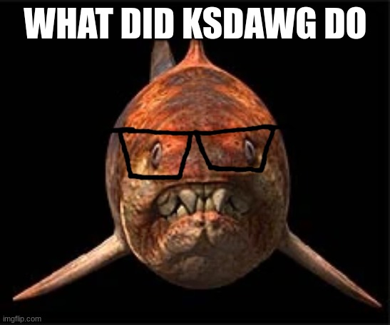 nerdunk | WHAT DID KSDAWG DO | image tagged in nerdunk | made w/ Imgflip meme maker