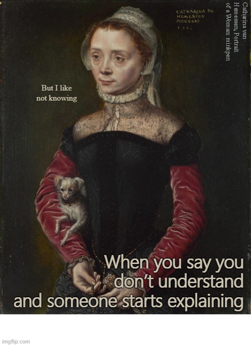 Know It All | image tagged in art memes,knowing,mansplaining,ignorance,understanding,knowledge | made w/ Imgflip meme maker