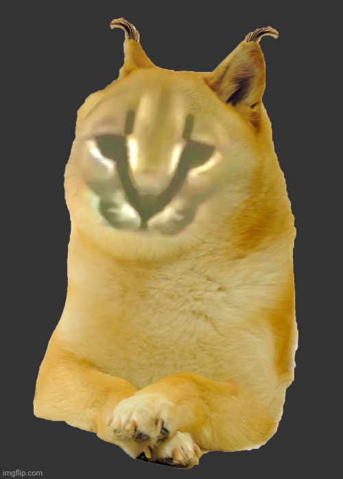 Doge Floppa V1 | image tagged in doge floppa v1 | made w/ Imgflip meme maker