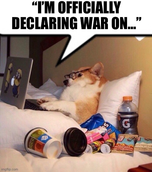 Lazy dog in bed | “I’M OFFICIALLY DECLARING WAR ON…” | image tagged in lazy dog in bed | made w/ Imgflip meme maker