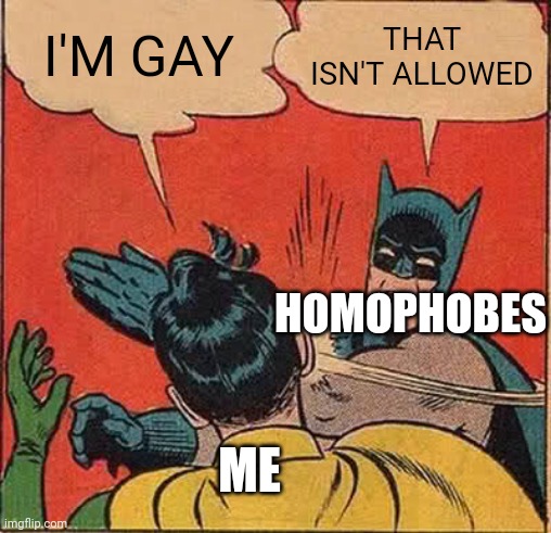 Yeah this is a true story I got slapped for being bi | I'M GAY; THAT ISN'T ALLOWED; HOMOPHOBES; ME | image tagged in memes,batman slapping robin | made w/ Imgflip meme maker
