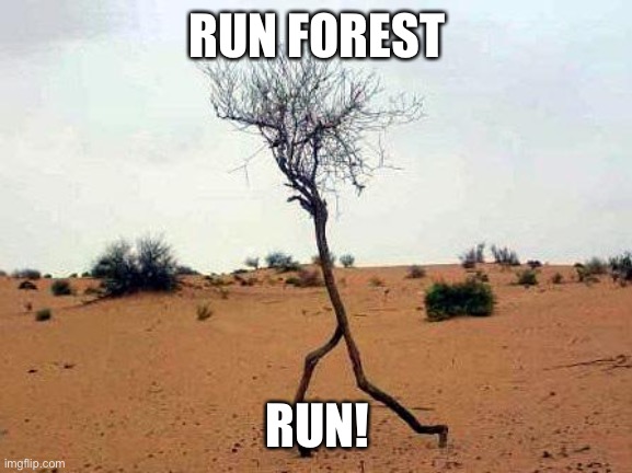 Running forest | RUN FOREST RUN! | image tagged in running forest | made w/ Imgflip meme maker