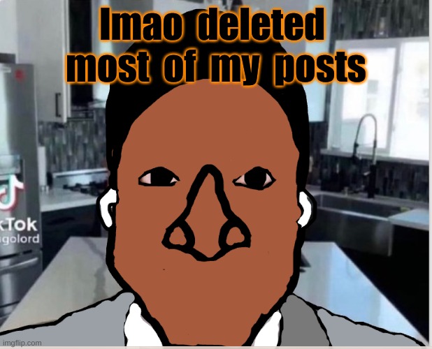 n | lmao  deleted  most  of  my  posts | image tagged in n | made w/ Imgflip meme maker