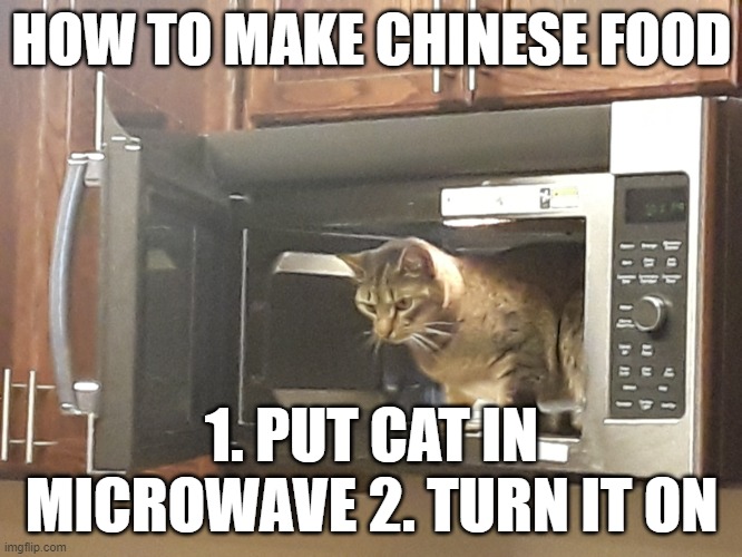 chinese food | HOW TO MAKE CHINESE FOOD; 1. PUT CAT IN MICROWAVE 2. TURN IT ON | image tagged in cat in microwave | made w/ Imgflip meme maker