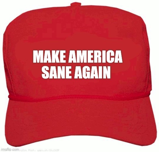 Red Hat | MAKE AMERICA
SANE AGAIN | image tagged in red hat | made w/ Imgflip meme maker