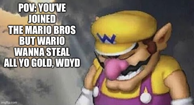 Yes, this is a joke rp. | POV: YOU’VE JOINED THE MARIO BROS BUT WARIO WANNA STEAL ALL YO GOLD, WDYD | image tagged in sad wario original,joke,roleplaying | made w/ Imgflip meme maker