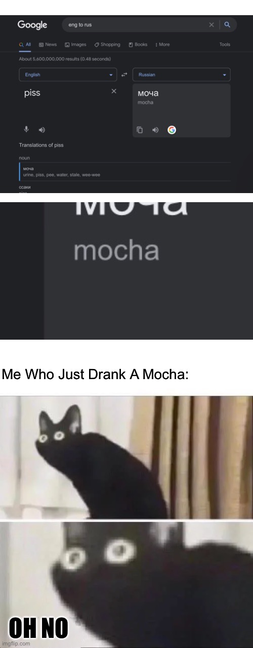 I Hate Russia So Much… |  Me Who Just Drank A Mocha:; OH NO | image tagged in oh no black cat | made w/ Imgflip meme maker