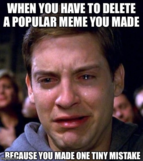 crying peter parker | WHEN YOU HAVE TO DELETE A POPULAR MEME YOU MADE; BECAUSE YOU MADE ONE TINY MISTAKE | image tagged in crying peter parker | made w/ Imgflip meme maker