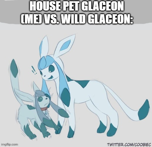 HOUSE PET GLACEON (ME) VS. WILD GLACEON: | image tagged in glaceon | made w/ Imgflip meme maker