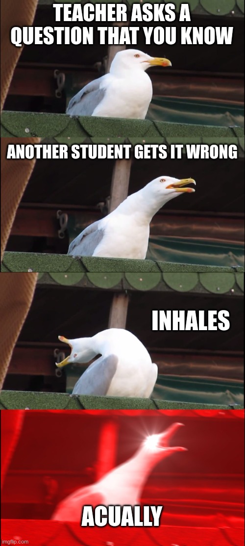 Inhaling Seagull | TEACHER ASKS A QUESTION THAT YOU KNOW; ANOTHER STUDENT GETS IT WRONG; INHALES; ACTUALLY | image tagged in memes,inhaling seagull | made w/ Imgflip meme maker