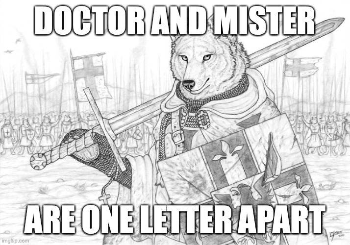 technically.... | DOCTOR AND MISTER; ARE ONE LETTER APART | image tagged in fursader | made w/ Imgflip meme maker