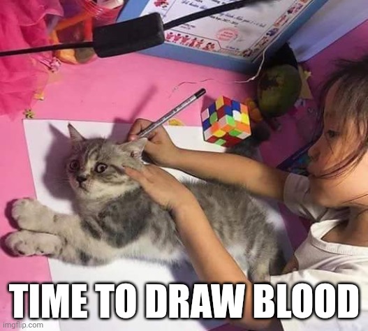 Lol | TIME TO DRAW BLOOD | image tagged in plain white | made w/ Imgflip meme maker