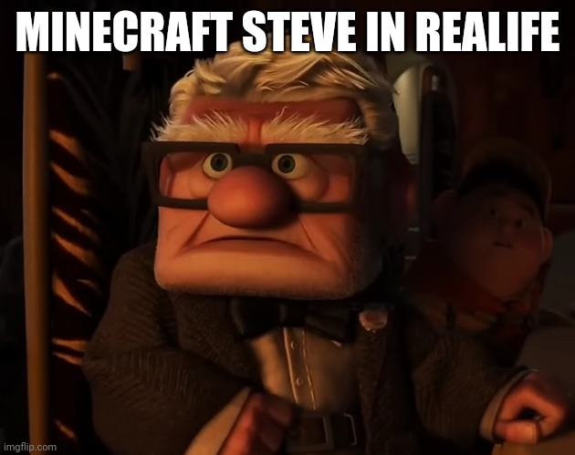 MINECRAFT STEVE IN REALIFE | made w/ Imgflip meme maker