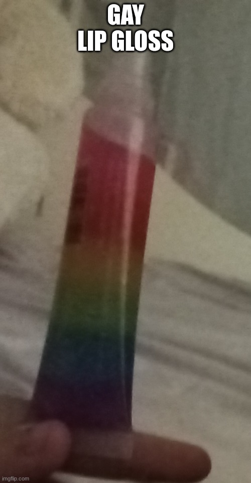 Got it from Vermont for like 2 bucks | GAY LIP GLOSS | made w/ Imgflip meme maker
