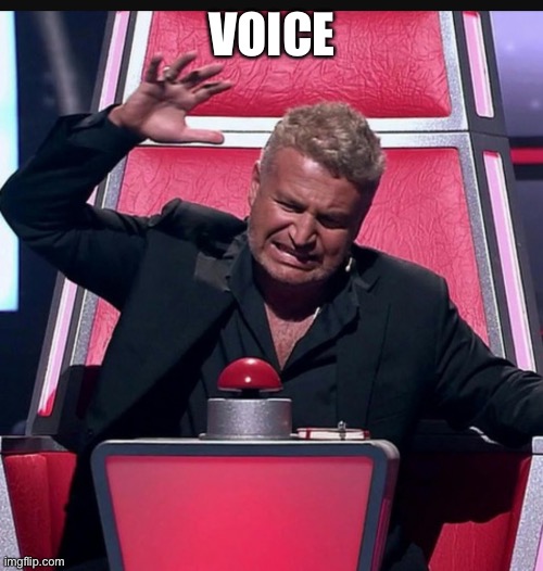 The voice button | VOICE | image tagged in the voice button | made w/ Imgflip meme maker