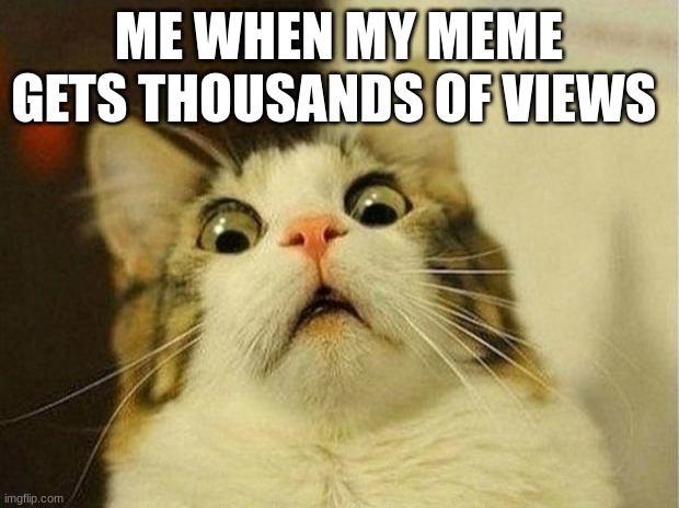 Scared Cat | ME WHEN MY MEME GETS THOUSANDS OF VIEWS | image tagged in memes,upvote if you agree,funny | made w/ Imgflip meme maker