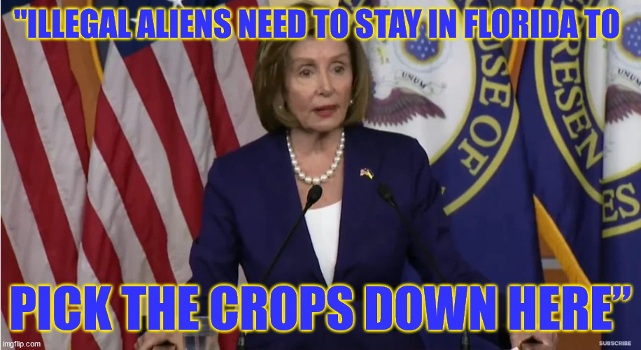 Yes... she said that... | "ILLEGAL ALIENS NEED TO STAY IN FLORIDA TO; PICK THE CROPS DOWN HERE” | image tagged in nancy pelosi | made w/ Imgflip meme maker