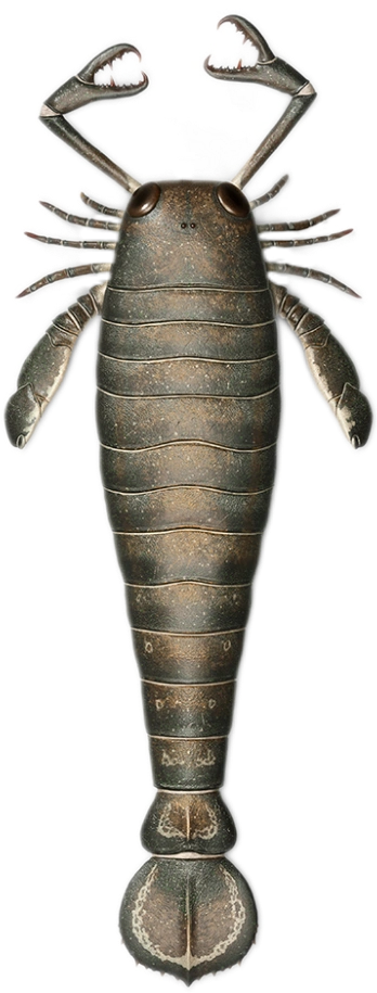 Jaekelopterus Blank Meme Template