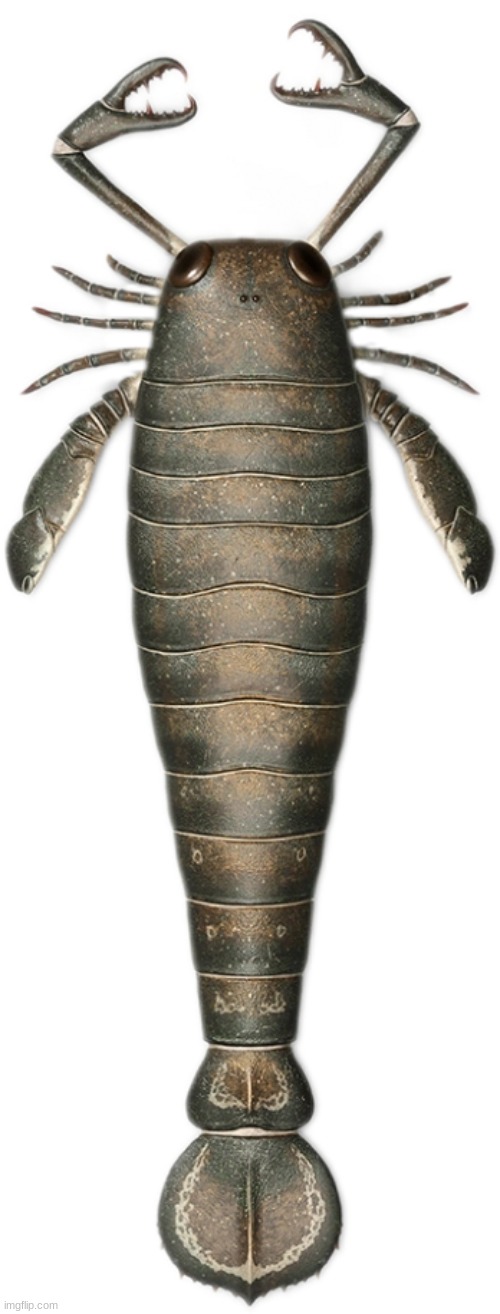 Jaekelopterus | image tagged in jaekelopterus | made w/ Imgflip meme maker
