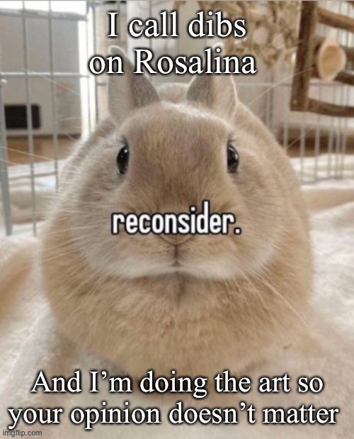 reconsider | I call dibs on Rosalina; And I’m doing the art so your opinion doesn’t matter | image tagged in reconsider | made w/ Imgflip meme maker