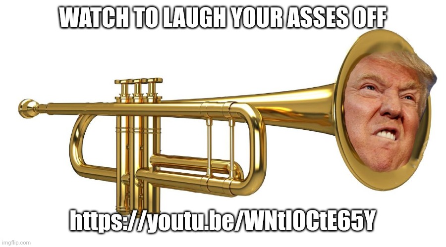 https://youtu.be/WNtI0CtE65Y | WATCH TO LAUGH YOUR ASSES OFF; https://youtu.be/WNtI0CtE65Y | image tagged in donald trumpet | made w/ Imgflip meme maker