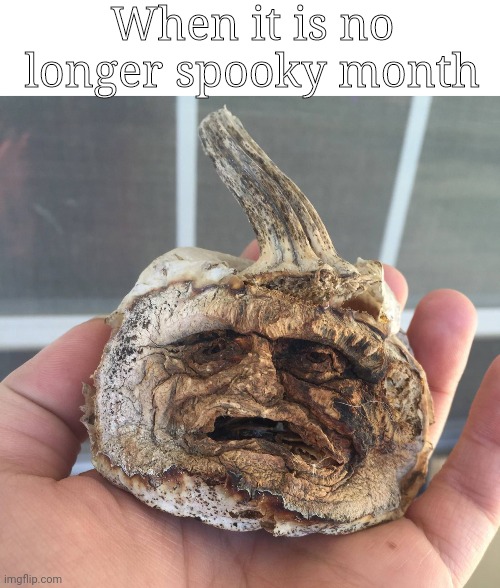 when it's no longer spooky month | When it is no longer spooky month | image tagged in spooky month | made w/ Imgflip meme maker