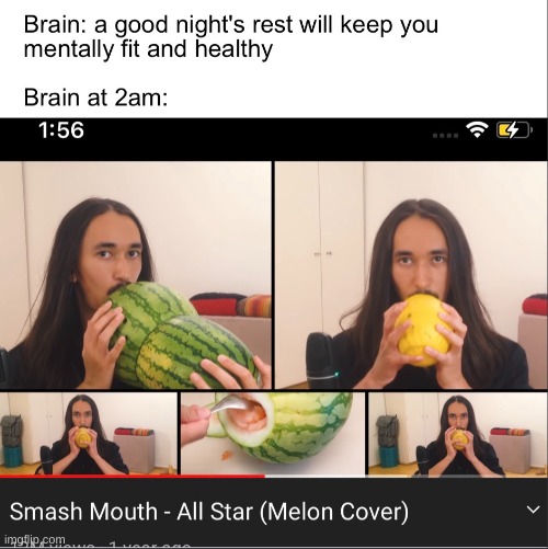 * dootdoots in watermelon * | image tagged in watermelon,my brain at 3am,watermalone | made w/ Imgflip meme maker