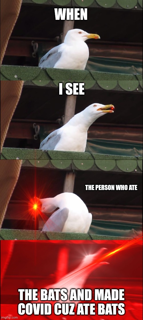 Inhaling Seagull Meme | WHEN I SEE THE PERSON WHO ATE THE BATS AND MADE COVID CUZ ATE BATS | image tagged in memes,inhaling seagull | made w/ Imgflip meme maker
