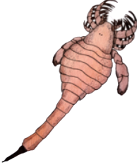 Eusarcana Meme Template