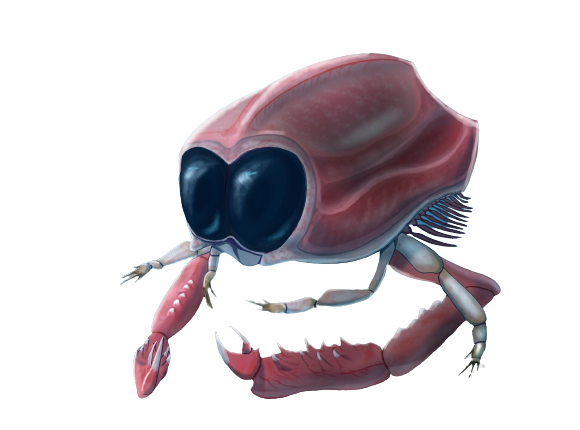 Dollocaris Blank Meme Template