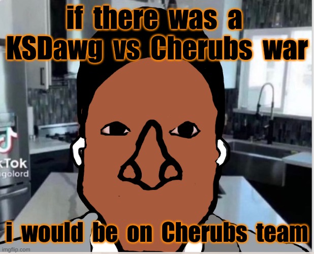 n | if  there  was  a  KSDawg  vs  Cherubs  war; i  would  be  on  Cherubs  team | image tagged in n | made w/ Imgflip meme maker