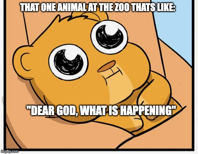 Zoo lions | THAT ONE ANIMAL AT THE ZOO THATS LIKE:; "DEAR GOD, WHAT IS HAPPENING" | image tagged in funny memes,animals | made w/ Imgflip meme maker