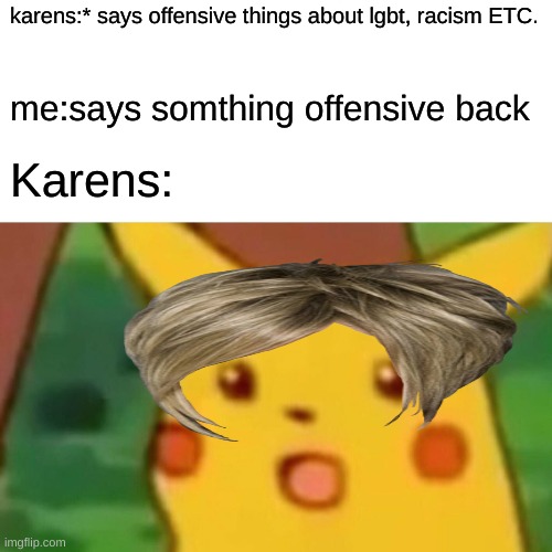 Surprised Pikachu | karens:* says offensive things about lgbt, racism ETC. me:says somthing offensive back; Karens: | image tagged in memes,surprised pikachu | made w/ Imgflip meme maker