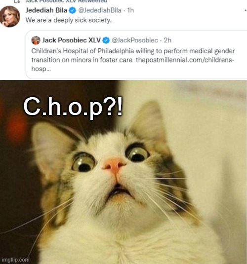 What's in a name? | C.h.o.p?! | image tagged in memes,scared cat | made w/ Imgflip meme maker