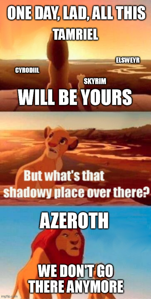 Simba Shadowy Place Meme | ONE DAY, LAD, ALL THIS; TAMRIEL; ELSWEYR; CYRODIIL; SKYRIM; WILL BE YOURS; AZEROTH; WE DON'T GO THERE ANYMORE | image tagged in memes,simba shadowy place | made w/ Imgflip meme maker