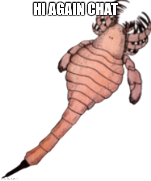 Eusarcana | HI AGAIN CHAT | image tagged in eusarcana | made w/ Imgflip meme maker
