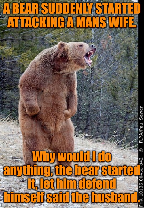 Bear attacks woman | A BEAR SUDDENLY STARTED ATTACKING A MANS WIFE. Why would I do anything, the bear started it, let him defend himself said the husband. | image tagged in angry bear,attacks wife,bear started it,defend himself,husband,memes_overload | made w/ Imgflip meme maker