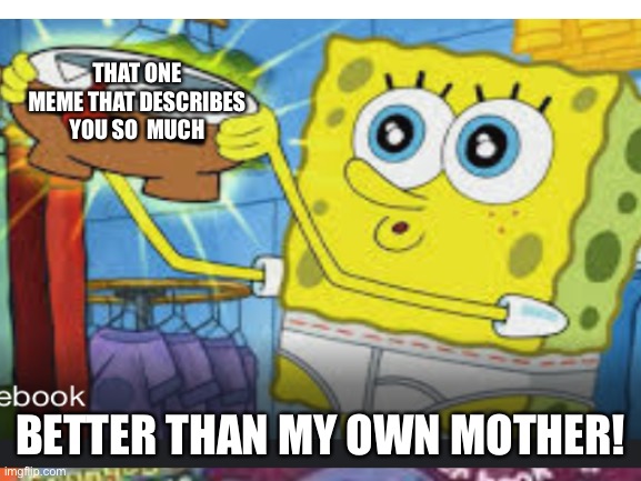 Don’t search this up as a template I made it myself | THAT ONE MEME THAT DESCRIBES YOU SO  MUCH; BETTER THAN MY OWN MOTHER! | image tagged in so true memes | made w/ Imgflip meme maker