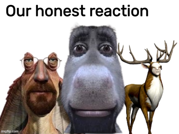 Our honest reaction | image tagged in our honest reaction | made w/ Imgflip meme maker