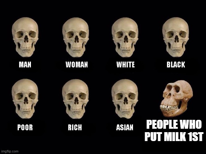 empty skulls of truth | PEOPLE WHO PUT MILK 1ST | image tagged in empty skulls of truth | made w/ Imgflip meme maker