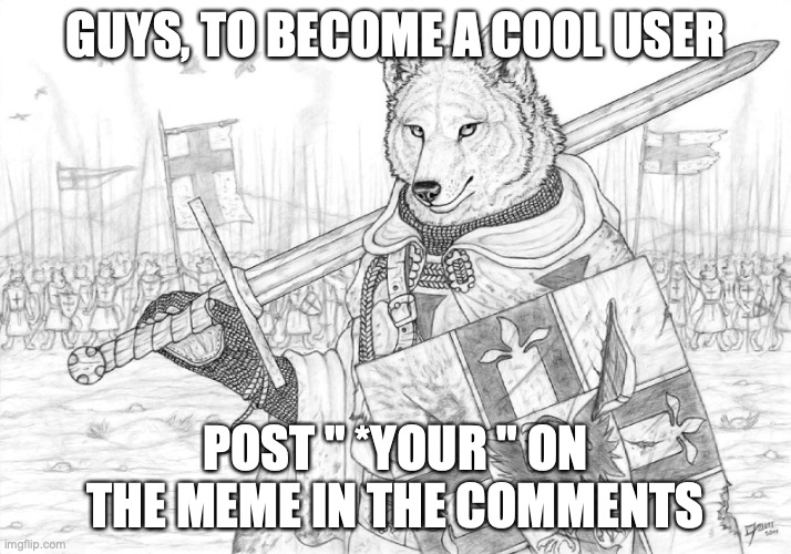 Fursader. | GUYS, TO BECOME A COOL USER; POST " *YOUR " ON THE MEME IN THE COMMENTS | image tagged in fursader | made w/ Imgflip meme maker