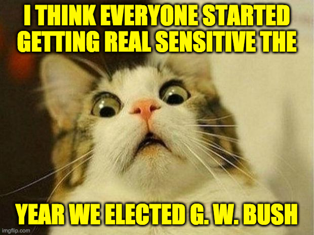 He deservedly got lots of shit from Dems, then Obama got all the payback shit. | I THINK EVERYONE STARTED GETTING REAL SENSITIVE THE; YEAR WE ELECTED G. W. BUSH | image tagged in memes,scared cat,payback shit | made w/ Imgflip meme maker